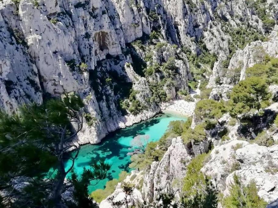 Studio Calanques Pres Du Vieux Port مارسيليا المظهر الخارجي الصورة