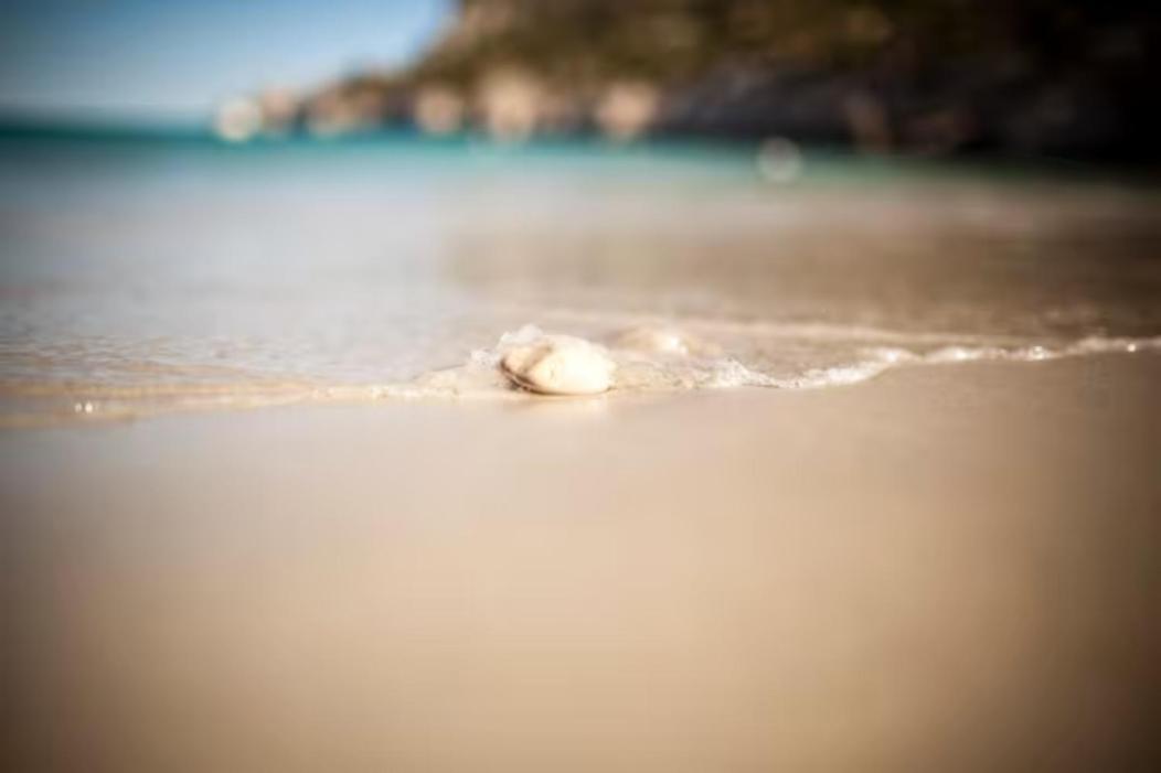 Studio Calanques Pres Du Vieux Port مارسيليا المظهر الخارجي الصورة